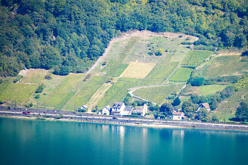 Lake Bourget 10 copyright French Moments Belvédère d'Ontex Lake Bourget © French Moments