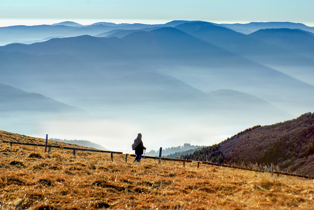 Ligne Bleue des Vosges copyright French Moments Route des Crêtes - Panorama sur la vallée de la Thur depuis le Grand Ballon © French Moments