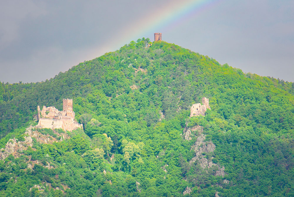Ribeauvillé 3 Chateaux © French Moments Ribeauvillé, Alsace Wine Route