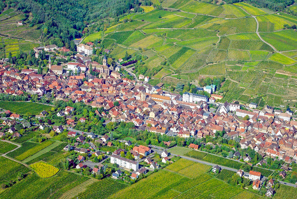 Ribeauvillé from above copyright French Moments Car rental in Alsace - Ribeauvillé