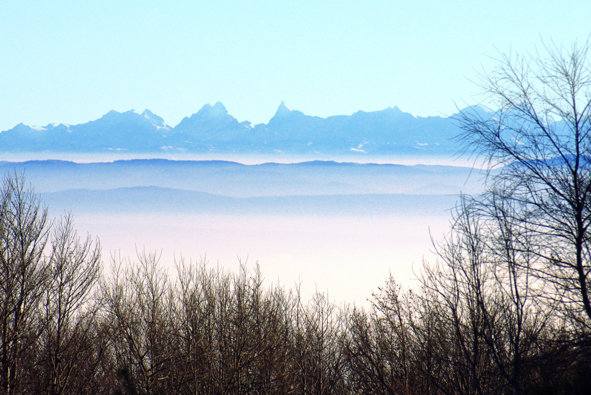 Swiss Alps from Grand Ballon © French Moments Alpes suisses vues du Grand Ballon © French Moments