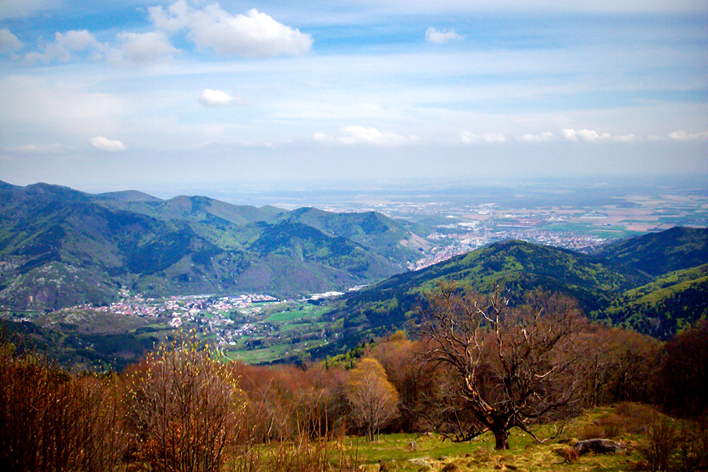 Thur Valley © French Moments