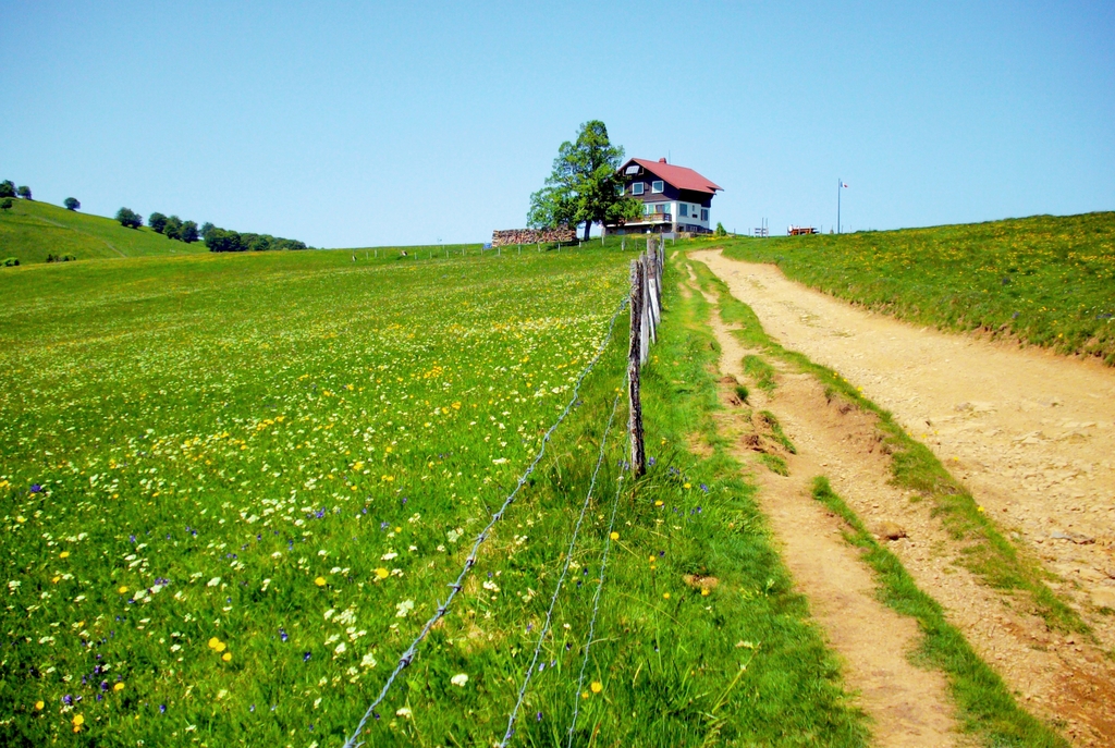 Vosges Printemps 02 © French Moments Route Joffre - Sur les hauteurs du massif du Rossberg © French Moments