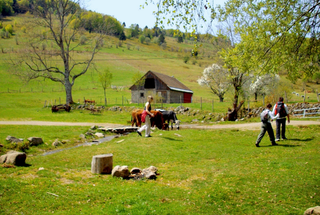 Sur les hauteurs de Rimbach-près-Masevaux © French Moments