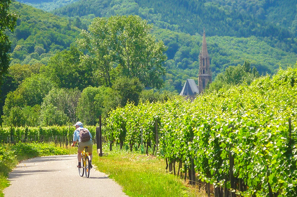 Thann Rangen 01 copyright French Moments Alsace Wine Route - Rangen Vineyards in Thann