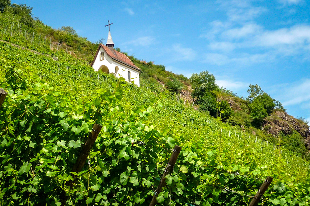 Thann Rangen 02 copyright French Moments Alsace Wine Route - Rangen Vineyards in Thann