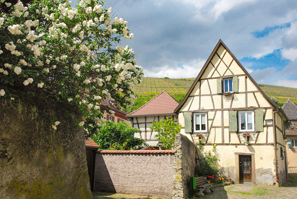 Rue Brûlée, Turckheim