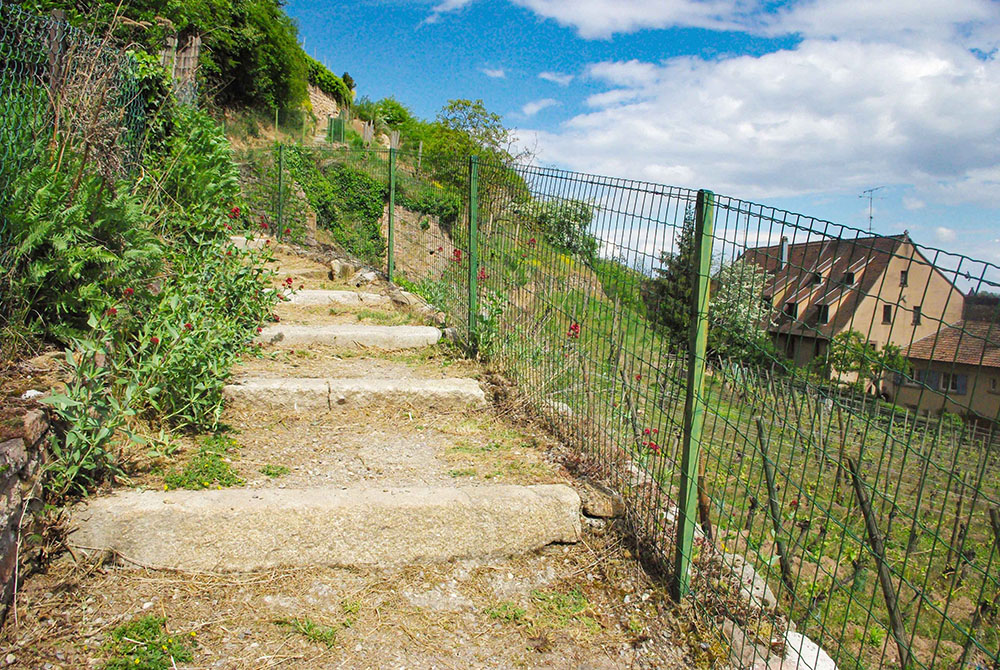 Sentier des Toits in Turckheim