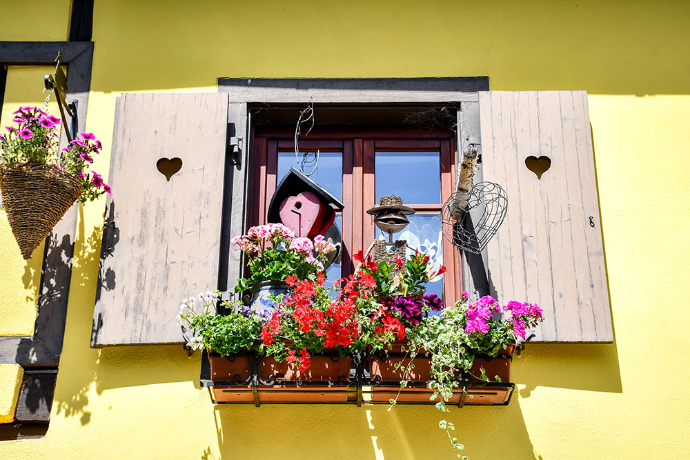Spring in Turckheim