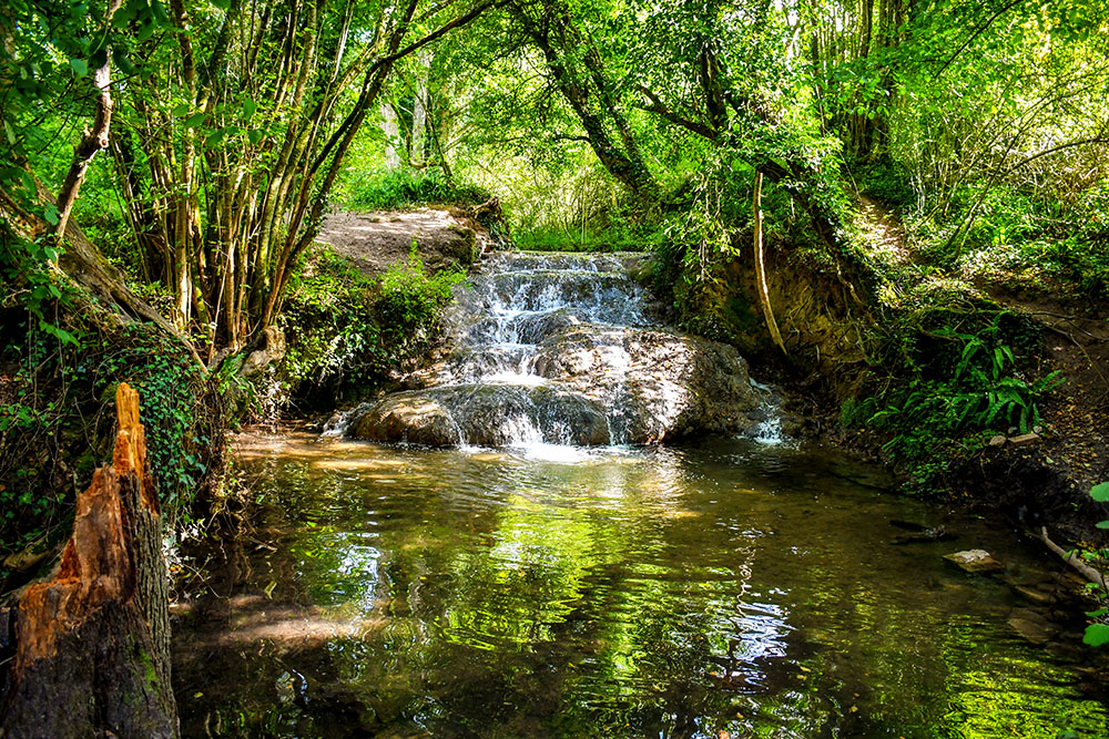 The Cascade de Prêtreville is a waterfall hidden in the woods of the Pays d'Auge south of Lisieux