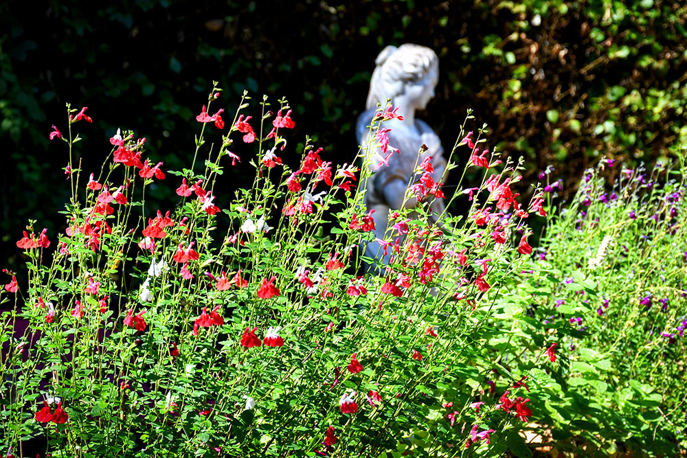 September in the Jardins du Pays d'Auge near Cambremer