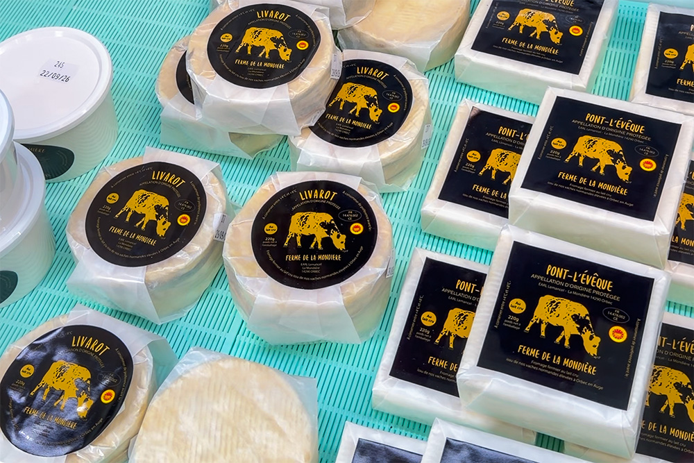Cheeses of Normandy made by the La Mondière farm near Orbec, Pays d'Auge