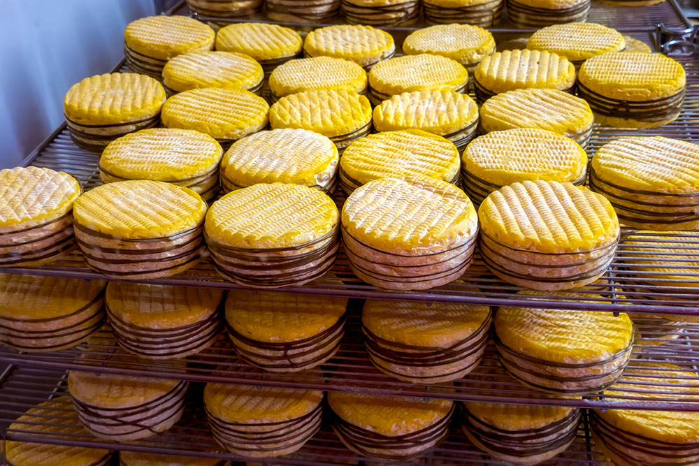 Livarot cheese made in the cheese factory of Graindorge in Livarot, Pays d'Auge