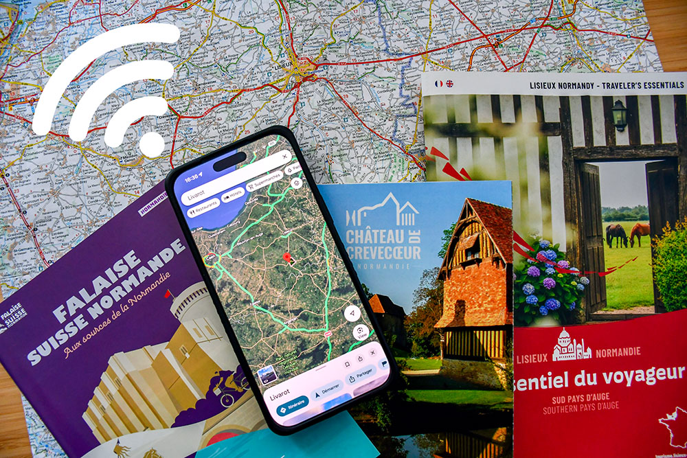 France eSIM Review: 1000 km road trip with Sim Local